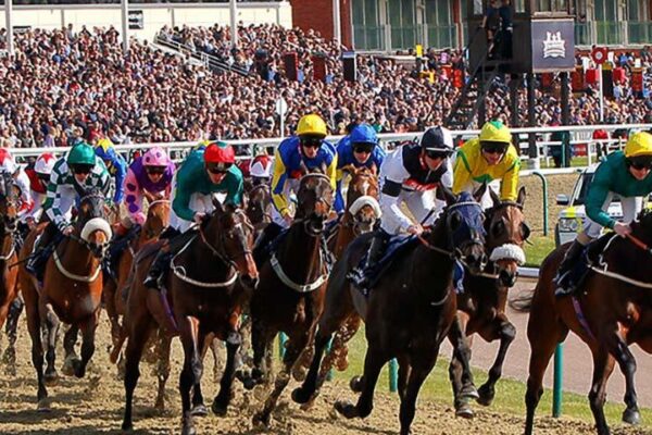 Lingfield