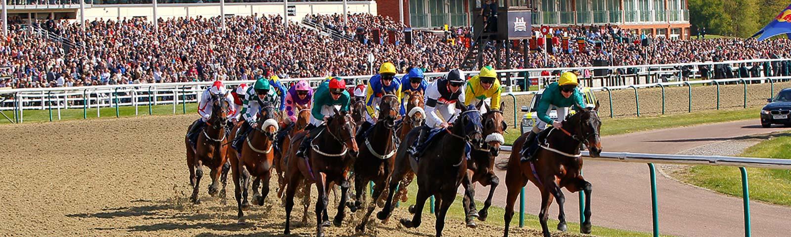 Lingfield – Fixtures & Price Guide