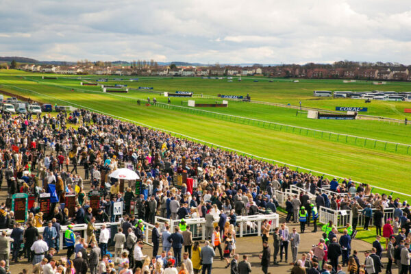 Ayr